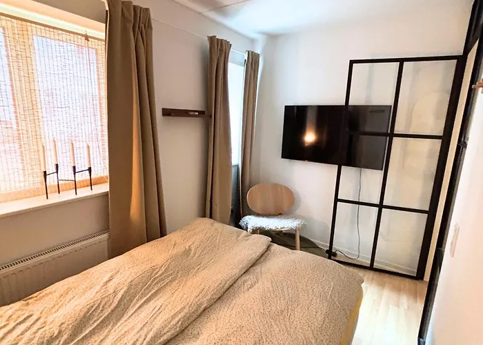 Skon Lejlighed Midt I Odense